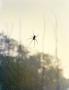 Page: - 117 | Aperture