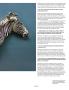 Page: - 59 | Aperture
