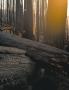 Page: - 60 | Aperture