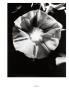 Page: - 81 | Aperture