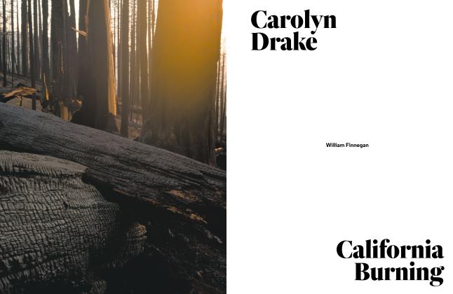Carolyn Drake California Burning