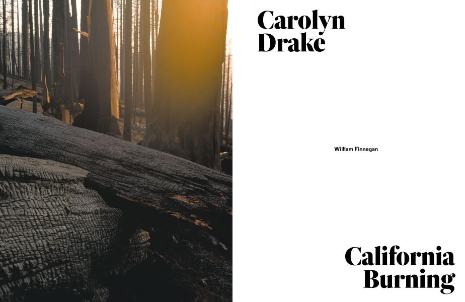 Carolyn Drake California Burning