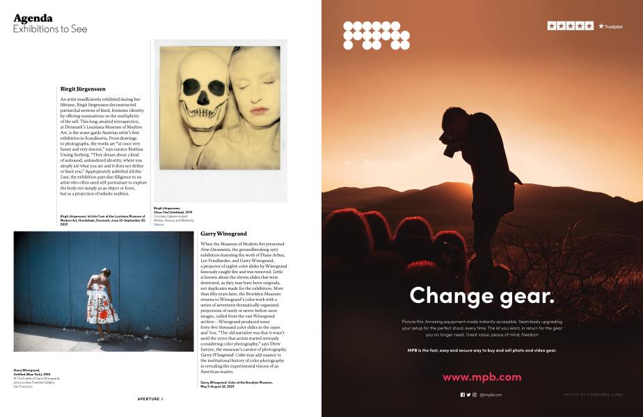 Exhibitions To See
