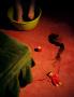 Page: - 142 | Aperture