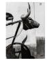 Page: - 35 | Aperture