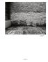 Page: - 53 | Aperture