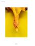 Page: - 76 | Aperture