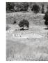 Page: - 116 | Aperture
