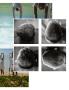 Page: - 127 | Aperture