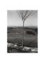 Page: - 24 | Aperture