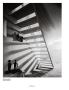 Page: - 114 | Aperture