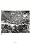 Page: - 34 | Aperture
