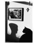 Page: - 119 | Aperture