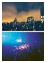Page: - 142 | Aperture