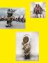 Page: - 129 | Aperture