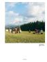 Page: - 87 | Aperture