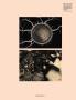 Page: - 127 | Aperture