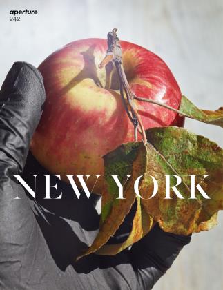 Spring 2021 | Aperture