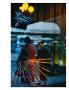 Page: - 133 | Aperture