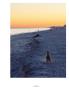 Page: - 155 | Aperture