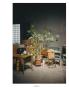 Page: - 63 | Aperture