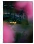 Page: - 91 | Aperture