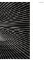 Page: - 37 | Aperture