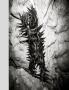 Page: - 101 | Aperture