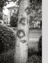 Page: - 102 | Aperture