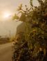 Page: - 138 | Aperture