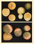 Page: - 54 | Aperture