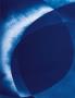 Page: - 113 | Aperture