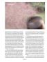 Page: - 121 | Aperture