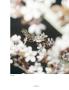 Page: - 131 | Aperture