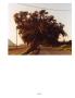 Page: - 75 | Aperture