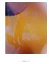 Page: - 3 | Aperture