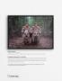 Page: - 5 | Aperture