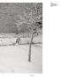 Page: - 87 | Aperture