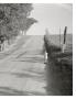 Page: - 95 | Aperture