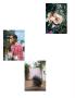 Page: - 114 | Aperture