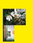 Page: - 115 | Aperture