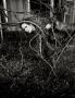 Page: - 74 | Aperture