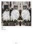 Page: - 110 | Aperture