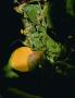 Page: - 82 | Aperture
