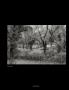 Page: - 101 | Aperture