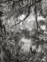 Page: - 103 | Aperture