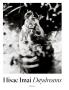 Page: - 38 | Aperture