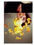 Page: - 45 | Aperture