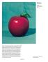 Page: - 80 | Aperture