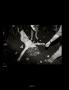 Page: - 98 | Aperture